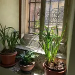 Casa Maria * 韦尔巴尼亚